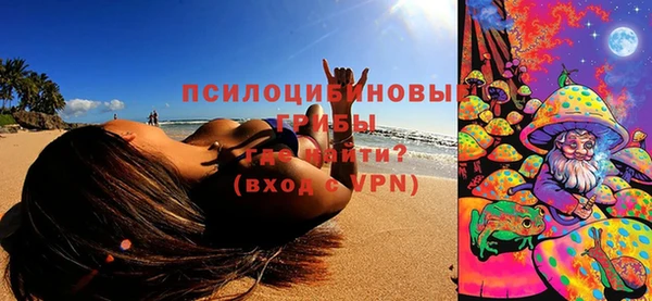 не бодяженный Корсаков