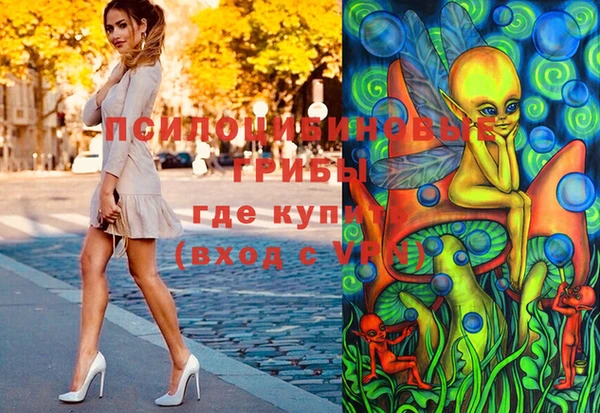 не бодяженный Корсаков
